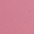 Dekorativna guma 2 mm 20x30 cm | izberite nianso – , Pastel rose