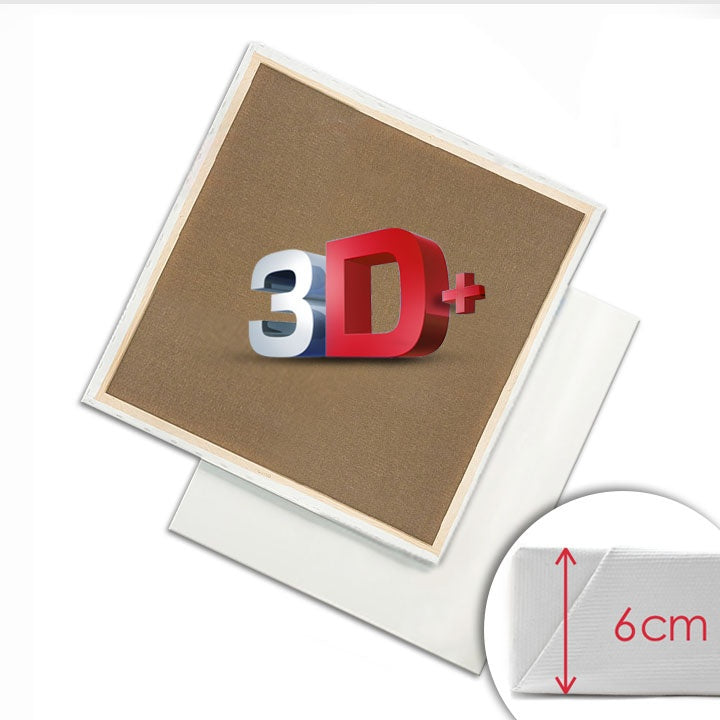 3D Slikarsko platno na okvirju PROFI | Različne dimenzije – pogled 7