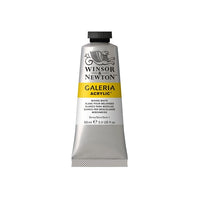 Akrilna barva Winsor & Newton Galeria 60 ml | različni odtenki