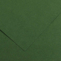 CANSON Iris Vivaldi barvni papir 50 x 65 cm, 240 g – Jelka 31