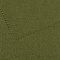 Canson Mi-Teintes papir za pastel 50 x 65 cm 160 g 25 listov – Bršljan 448
