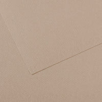 Canson Mi-Teintes papir za pastel 50 x 65 cm 160 g 25 listov – Flanelasto siva 122