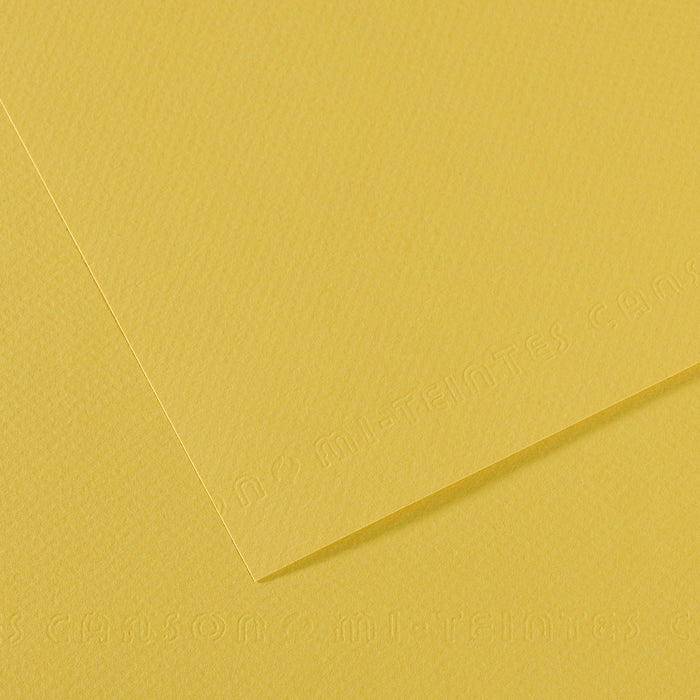 Canson Mi-Teintes papir za pastel 50 x 65 cm 160 g 25 listov – Janež