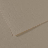 Canson Mi-Teintes papir za pastel 50 x 65 cm 160 g 25 listov – Ostriga 340