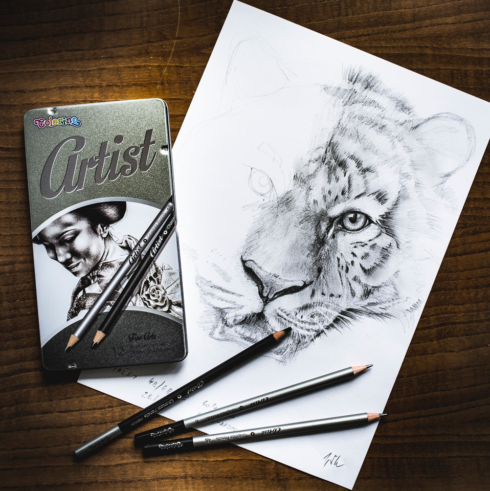 Colorino Artist risalni set grafitnih svinčnikov in oglja v kovinski škatli
