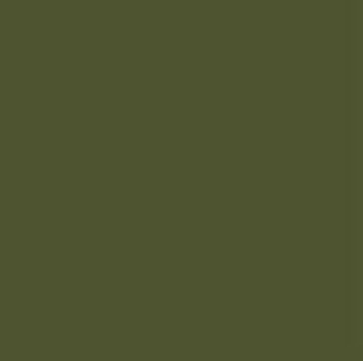 Dekorativna barva Pentart Chalky – 29338 - trnje