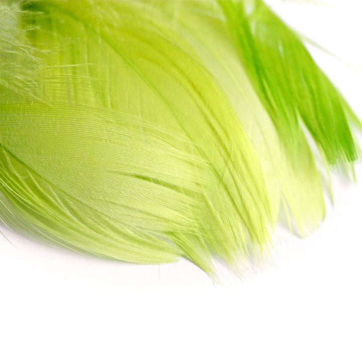 Dekorativno perje 190 kom – light green