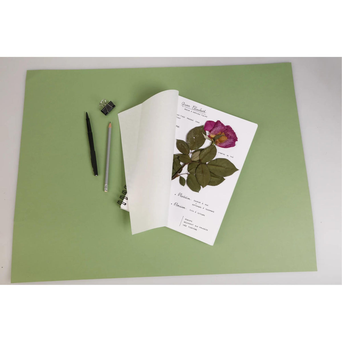 Herbarij CLAIREFONTAINE 180 g/m² 21 x 21 cm - 32 listov