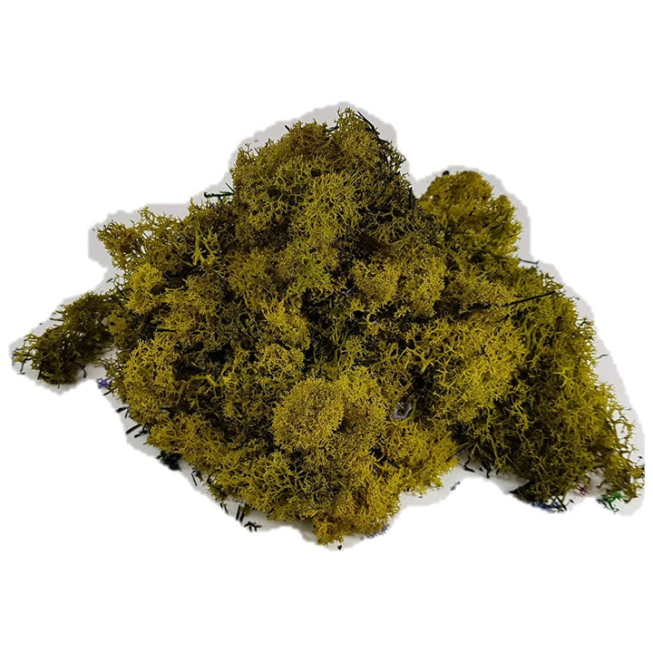 Islandski lišaj 500g | različne barve – pogled 4
