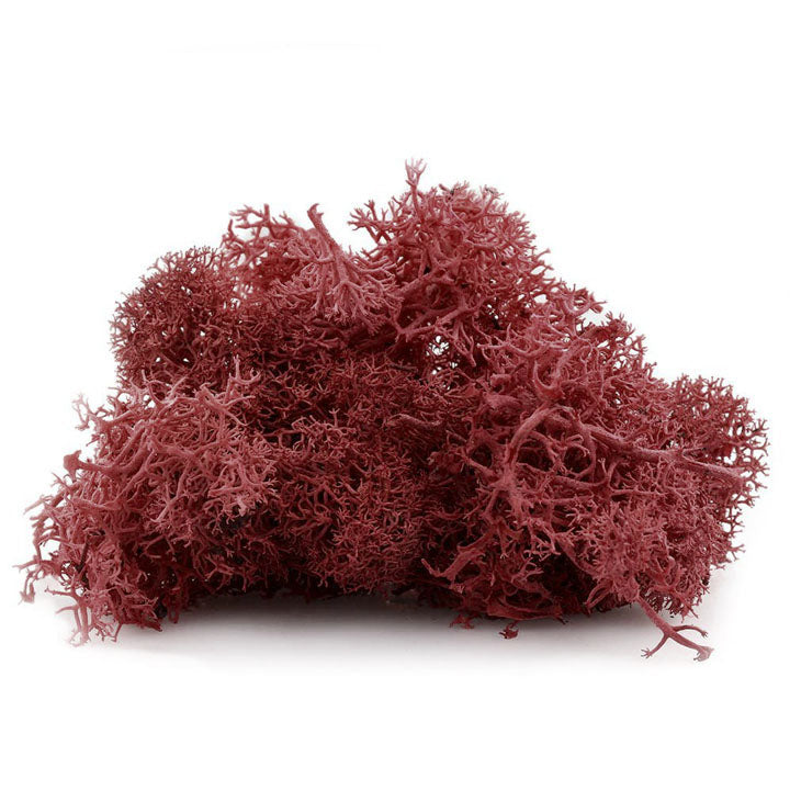 Islandski mah 12 g – Bordo