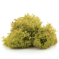 Islandski mah 12 g – Rumen