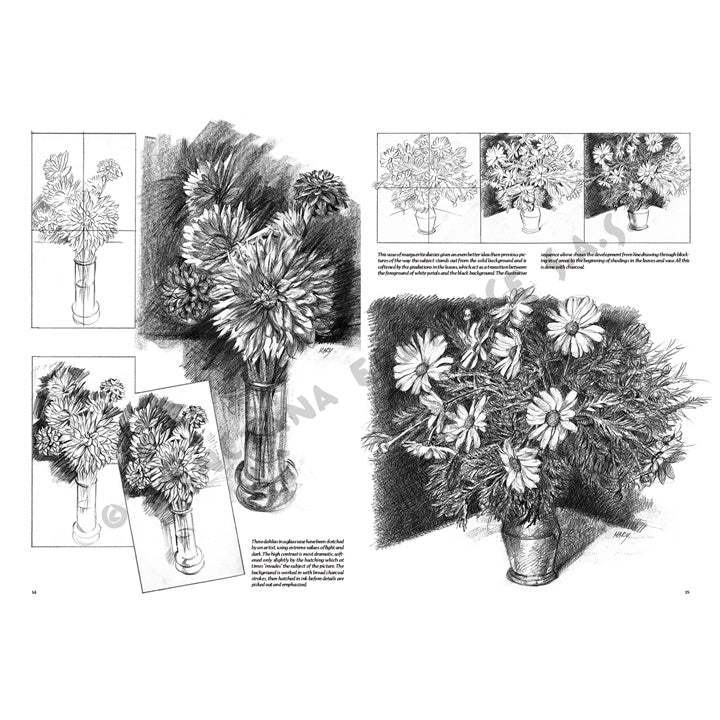 Leonardo Collection 21 Flowers Drawing Book – pogled 3