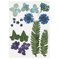 Stisnjeni cvetovi in listi – blue