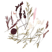 Mini suhi šopek "Burgundska kraljica" / 20 cm – pogled 2