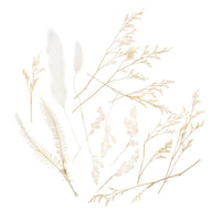 Mini suhi šopek "Vanilla Dream" – pogled 2