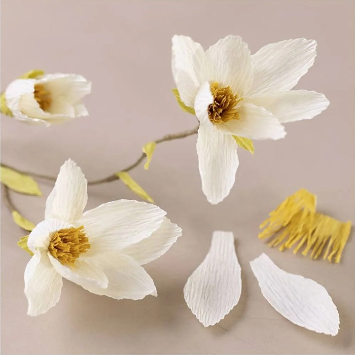 Mini ustvarjalni set | Papir Crepe Magnolija Twig – pogled 3