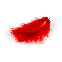 MARABU perje 10 / 12cm 17 kom – červené