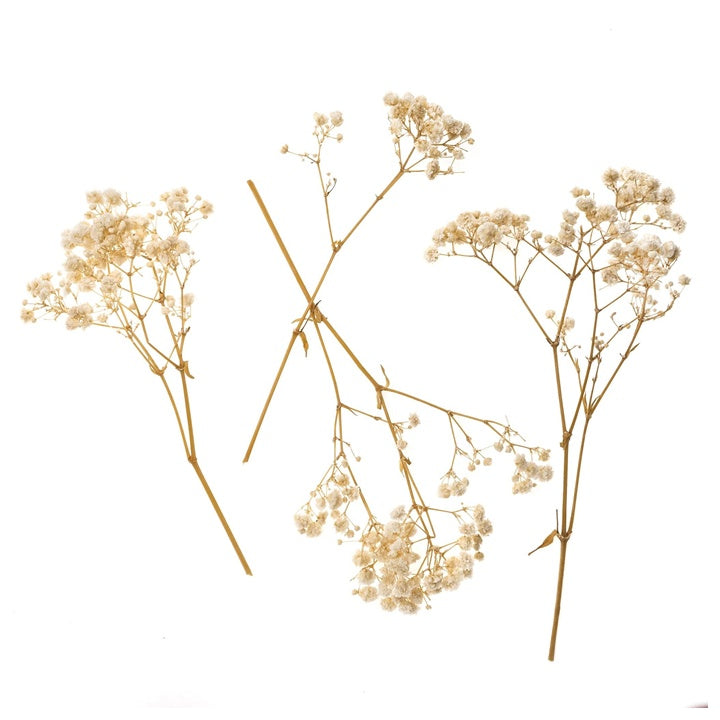 Naravna gipsofila / 4 stebla, 20 cm – pogled 2