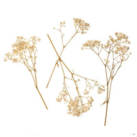 Naravna gipsofila / 4 stebla, 20 cm – pogled 2