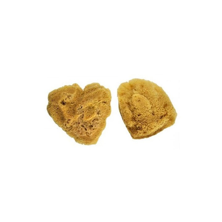 Naravne morske gobice velike Royal &amp; Langnickel - paket 2
