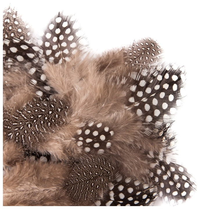 Naravno perje prepelice 5 - 12 cm / 5 g