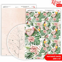 Papirji za scrapbooking King Protea A4 | različni motivi — slika 1
