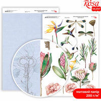 Papirji za scrapbooking King Protea A4 | različni motivi — slika 6