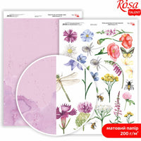 Papirji za scrapbooking Wild Flowers A4 | različni motivi — slika 9