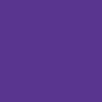Barva za steklo Pebeo Vitrail 45 ml – Violet