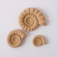 Pentart Elastic wood Shell set školjke 6,5 x 5,5 cm 3 kos