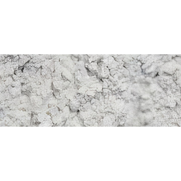 Pigment v prahu Renesans 1000 g | različne barve