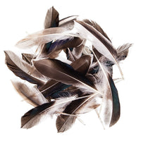 Račje perje 10 - 15 cm, 10 g