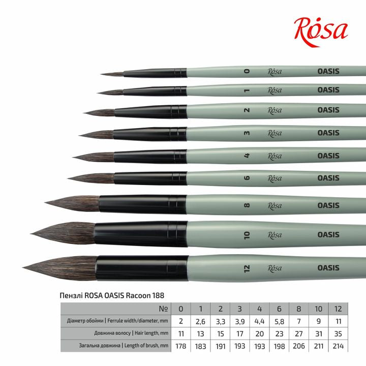 ROSA OASIS 188 Naravni okrogli čopič | Različne velikosti – pogled 4