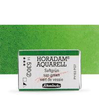 Schmincke Horadam akvarelne barve v celi ponvi – 530 Sap Green