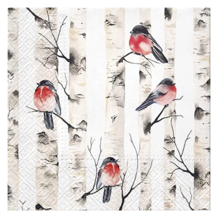 Serviete za decoupage Birch Trees - 1 kos