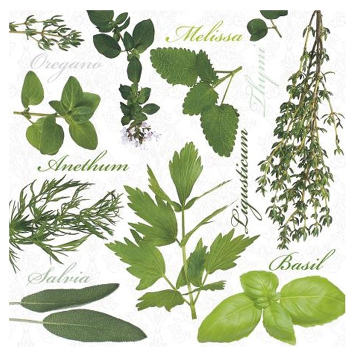 Serviete za decoupage Herbs - 1 kos