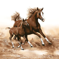 Serviete za decoupage Horses - 1 kos