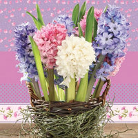 Serviete za decoupage Hyacinths in a Basket - 1 kos
