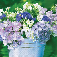 Serviete za decoupage Hydrangea - 1 kos