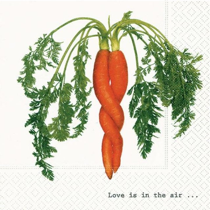 Serviete za decoupage Intertwined Carrot - 1 kos