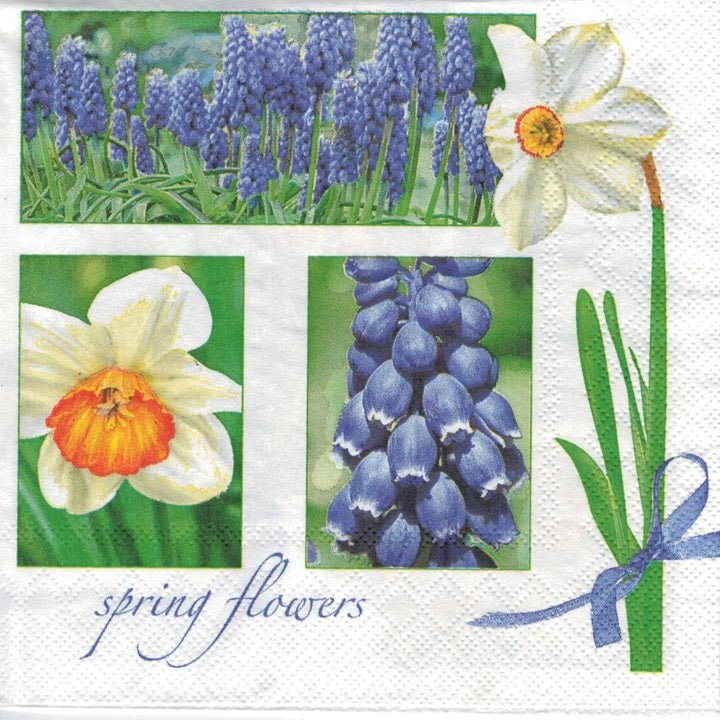 Serviete za decoupage Muscari & Narcissus - 1 kos