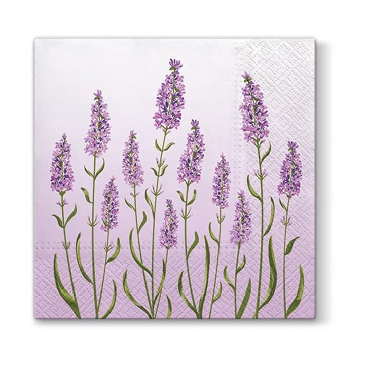 Serviete za decoupage - Polje sivke - 1 kom