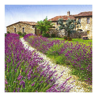 Serviete za decoupage - Polje sivke - 1 kom