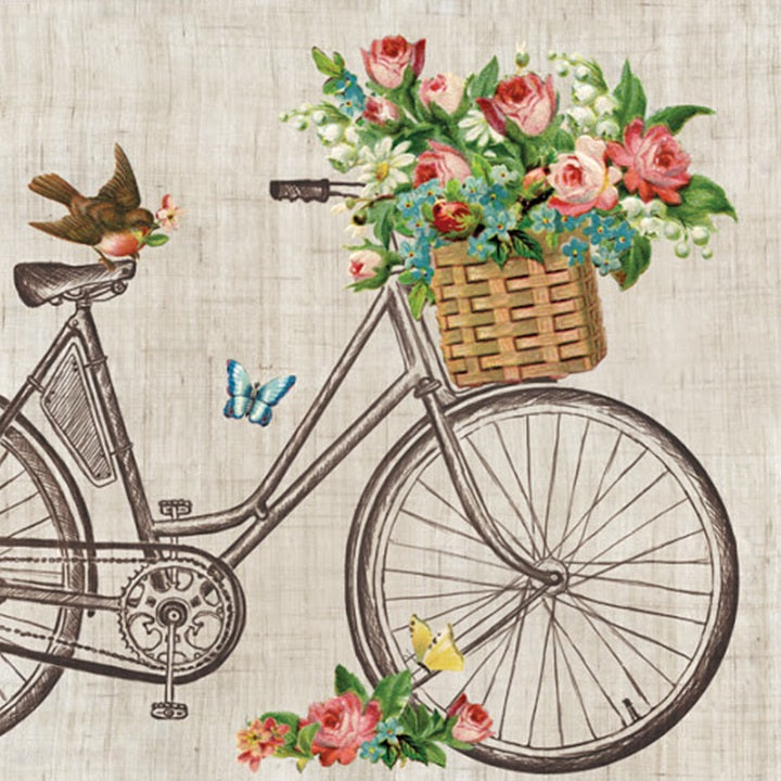 Serviete za decoupage Robin on Bike - 1 kos