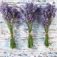 Serviete za DECOUPAGE - Šopki sivke - 1 kos