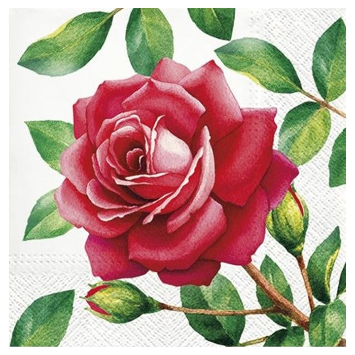 Serviete za decoupage Special Rose - 1 kos