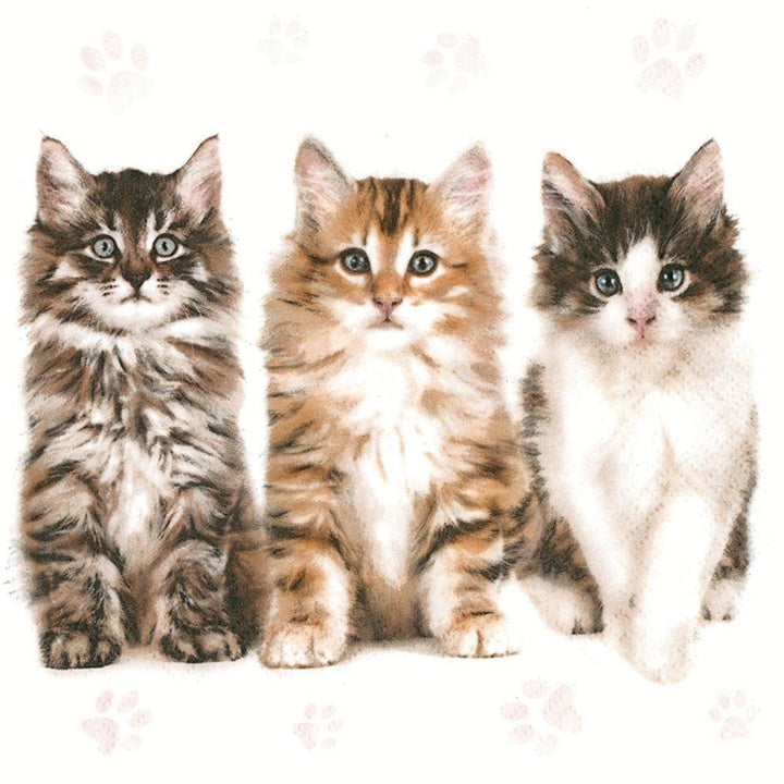 Serviete za decoupage Three Beautiful Cats - 1 kos