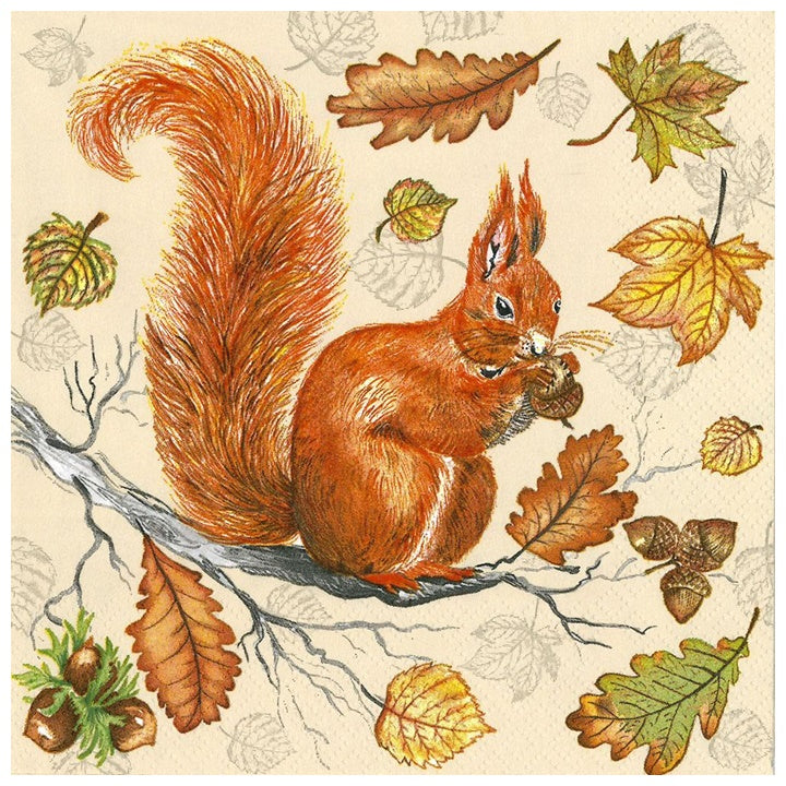 Serviete za decoupage Veverička - 1 kos