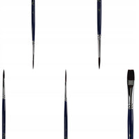 Set di 5 pennelli Phoenix 6614S1