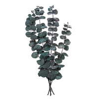 Stabiliziran evkaliptus Baby Blue / 4 stebla, zelena, 20 cm